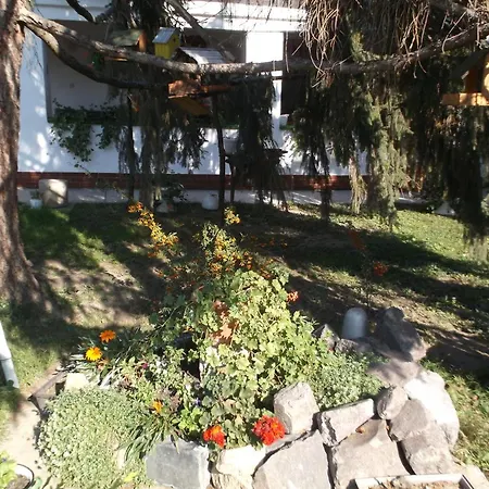 Guest house Vali Vendeghaz