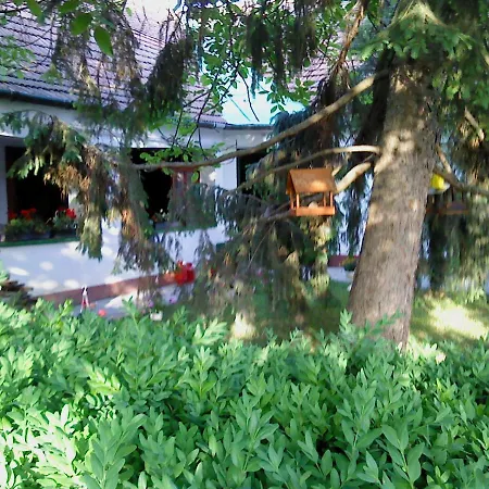 Guest house Vali Vendeghaz 2*